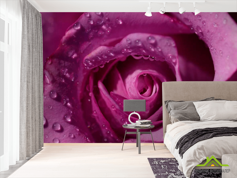 Фотообои Роза