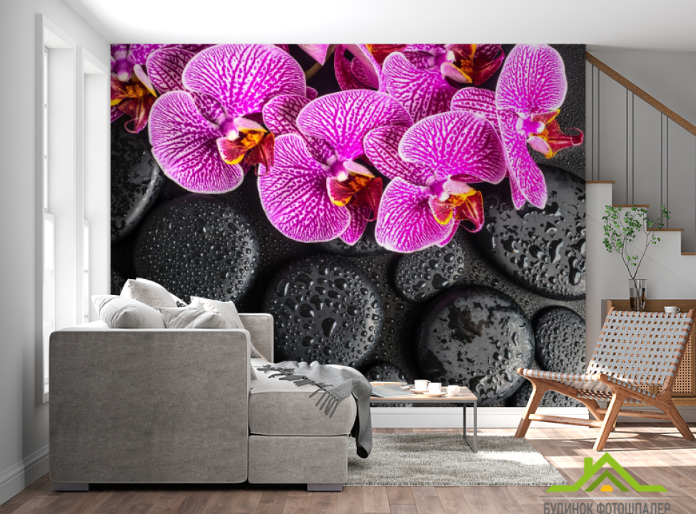 выбрать Фотообои сиреневые орхидеи на черных камнях с каплями Фотообои Цветы на стену