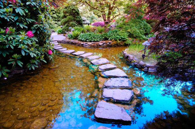 Фотошпалери Дизайн, камені, зелень