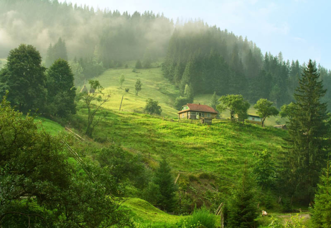 Фотошпалери особняк в лісі