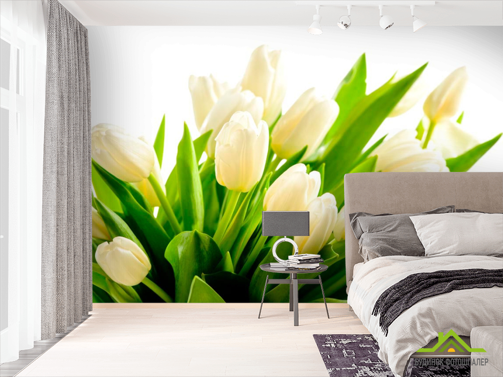 Фотошпалери Тюльпани