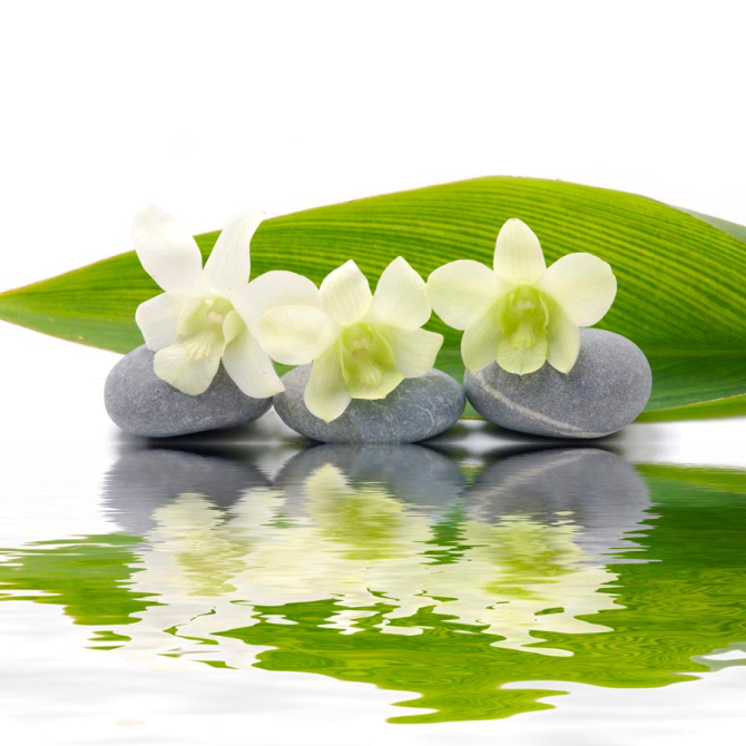 Фотошпалери Білі нарциси