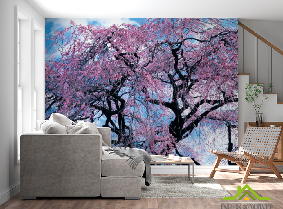 выбрать Фотообои Сакура Фотообои Сакура на стену