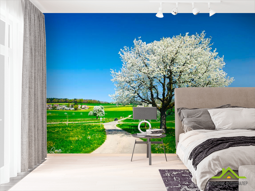 Фотообои Весна, цвет