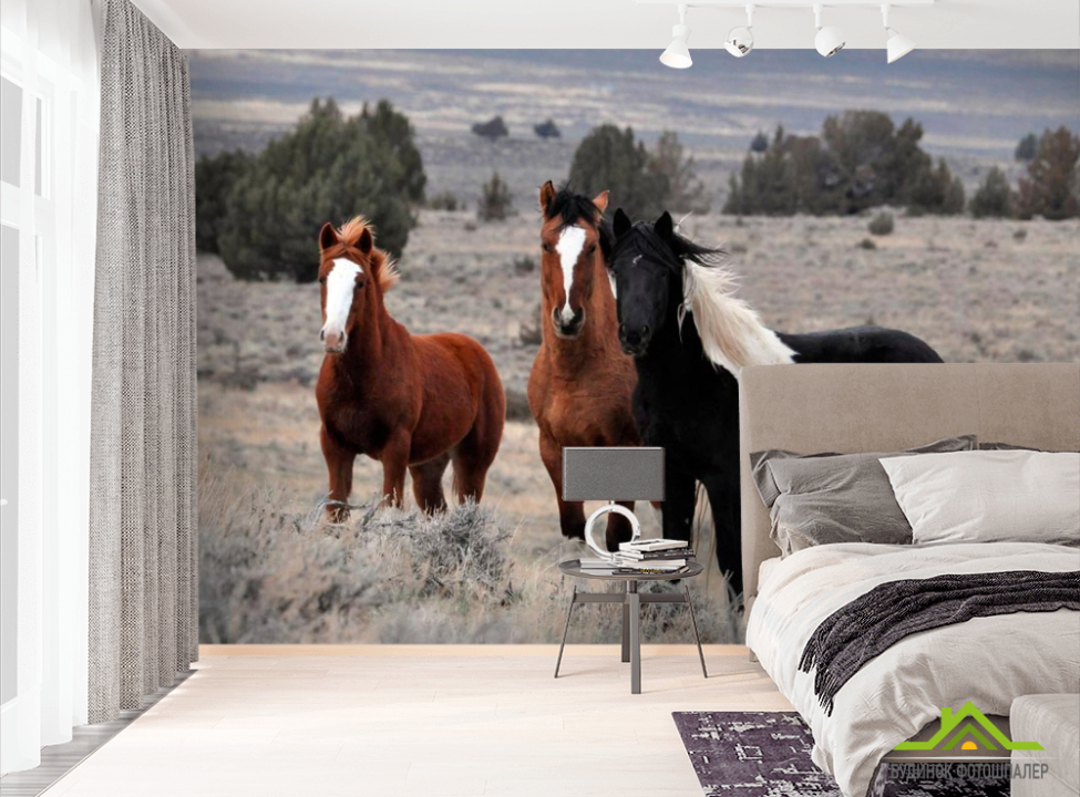 выбрать Фотообои Три лошади Фотообои Лошади на стену