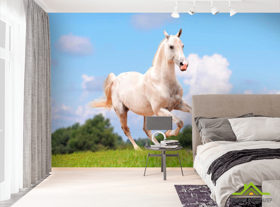 выбрать Фотошпалери Біжить кінь Фотошпалери Лошадки на стіну