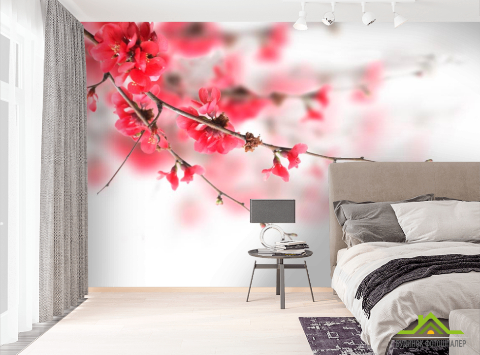 выбрать Фотообои Красное цветущее дерево  на стену