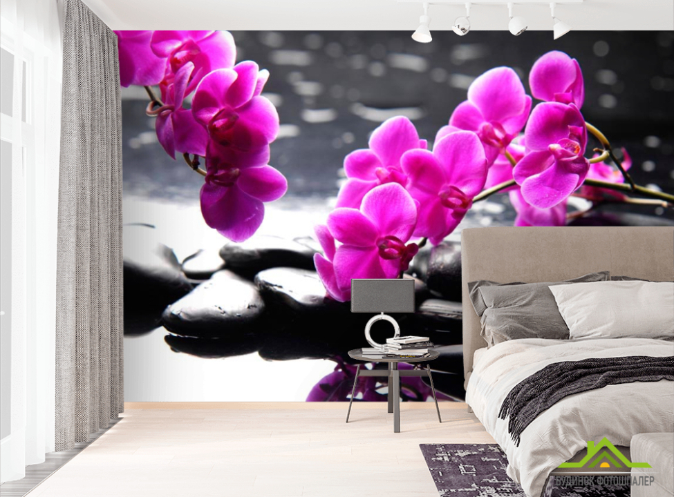 выбрать Фотообои Розовые цветы и камни Фотообои Цветы на стену