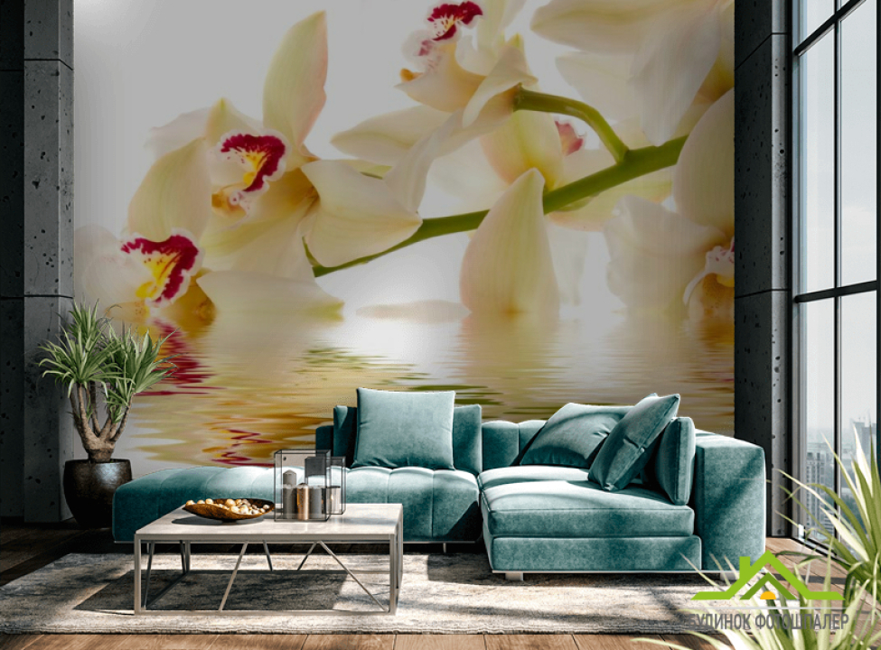 выбрать Фотообои Кремовые орхидеи в воде Фотообои Цветы на стену