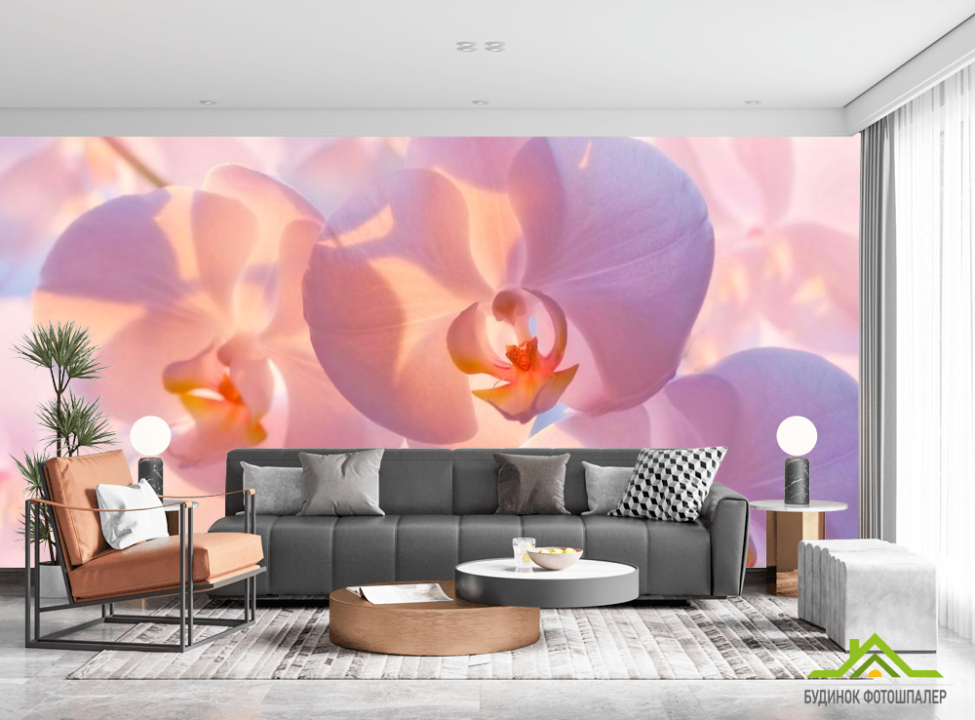 выбрать Фотообои Бледно-кремовые орхидеи Фотообои Орхидеи на стену