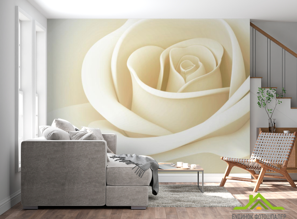 выбрать Фотообои белая роза Фотообои Розы на стену