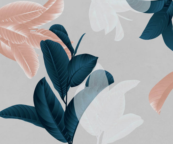 Фотообои Фикусы дизайнерские