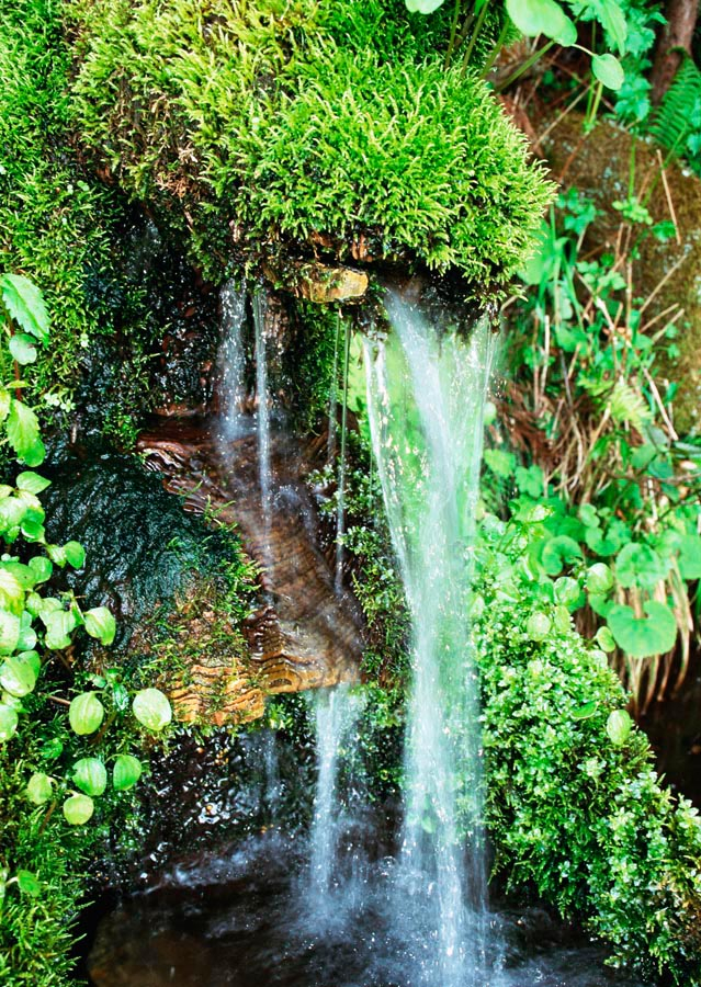 Фотошпалери Маленький струмок