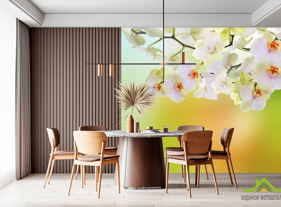 выбрать Фотообои Орхидеи с салатовым фоном Фотообои разные на стену