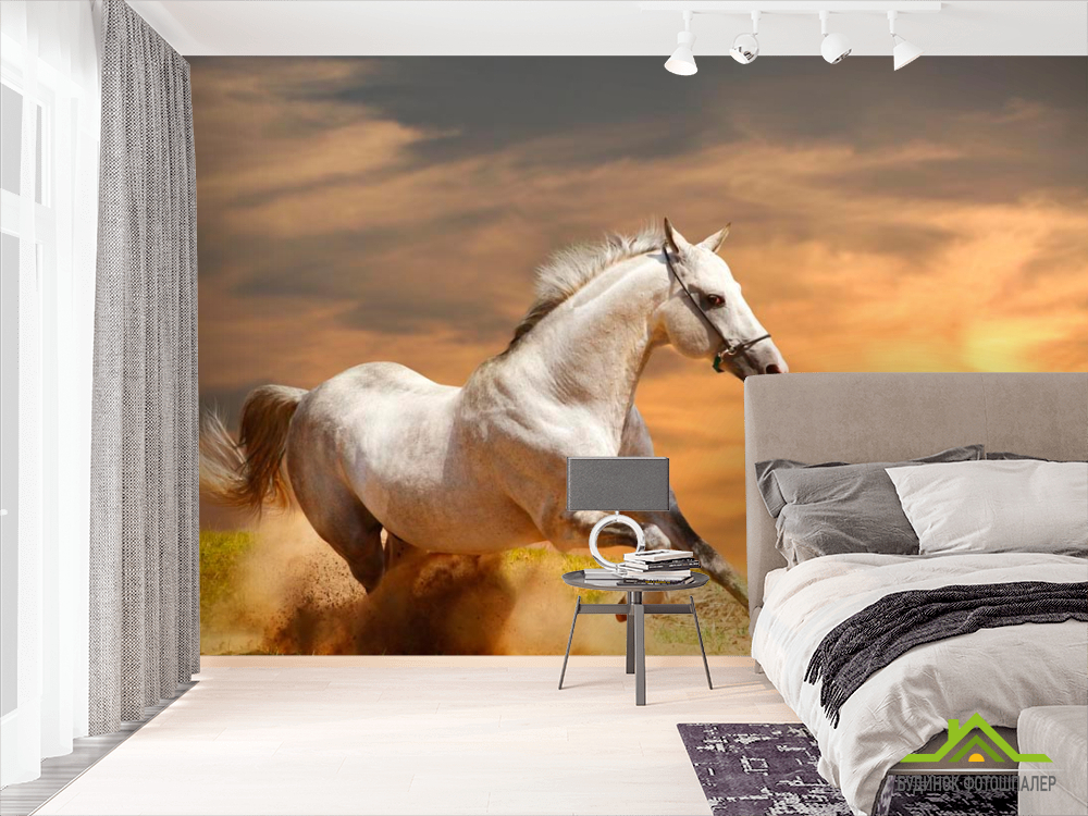 Фотообои Бегущий конь
