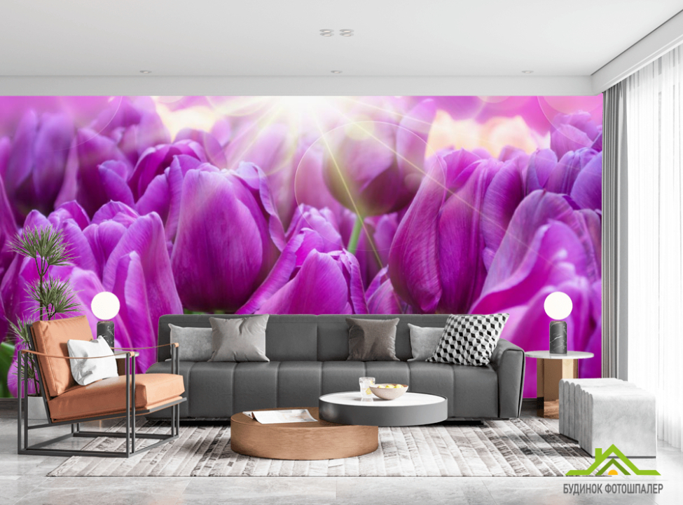 выбрать Фотошпалери фіолетові тюльпани Фотошпалери Квіти на стіну