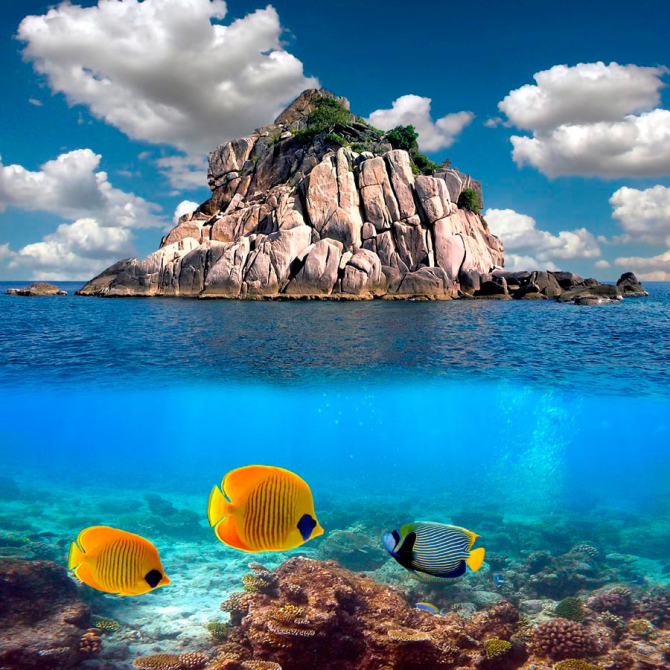 Фотошпалери Риби поблизу острова