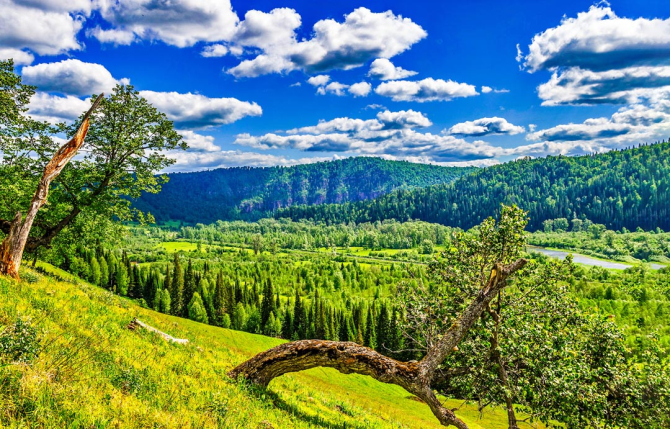 Фотошпалери зелено-блакитна природа