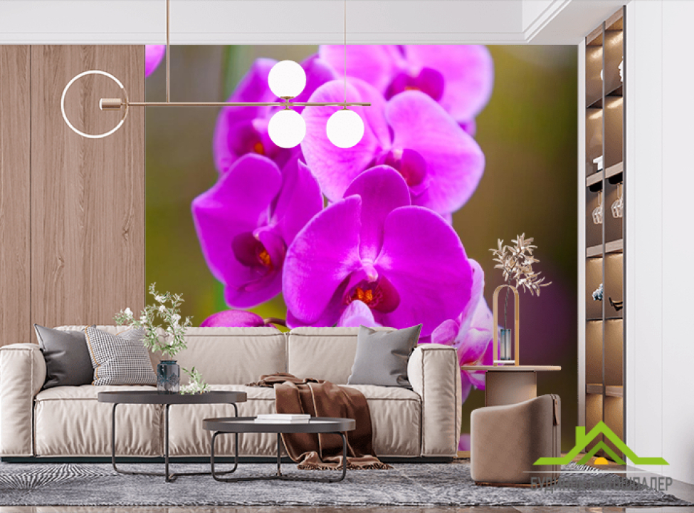 выбрать Фотошпалери гілка орхідеї Фотошпалери Орхідеї на стіну