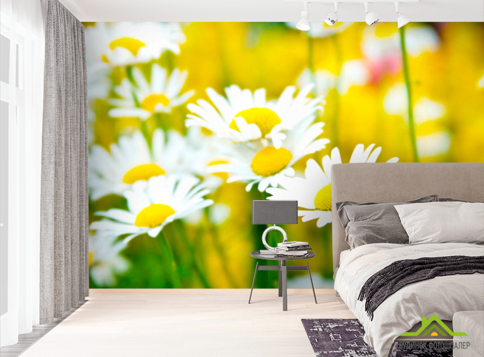выбрать Фотообои Полевые белоснежные ромашки Фотообои Ромашки на стену