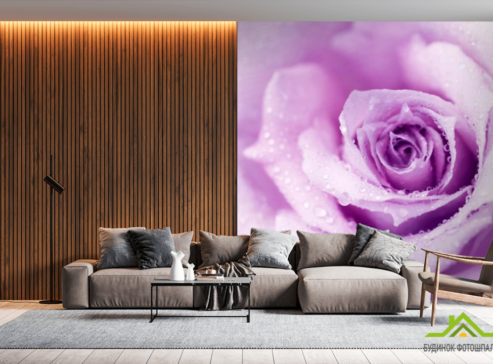 выбрать Фотообои роза Фотообои разные на стену