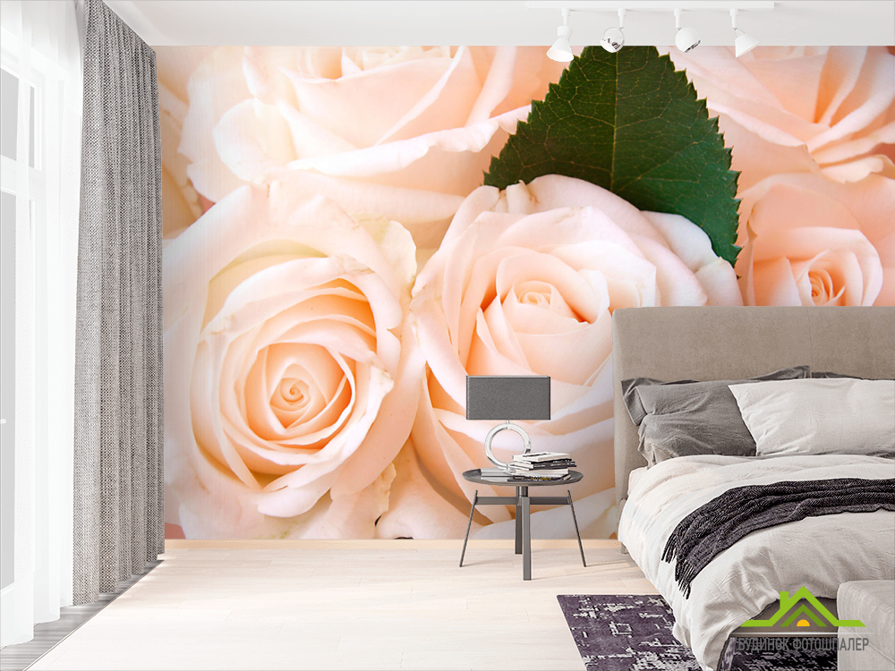 Фотообои Розы
