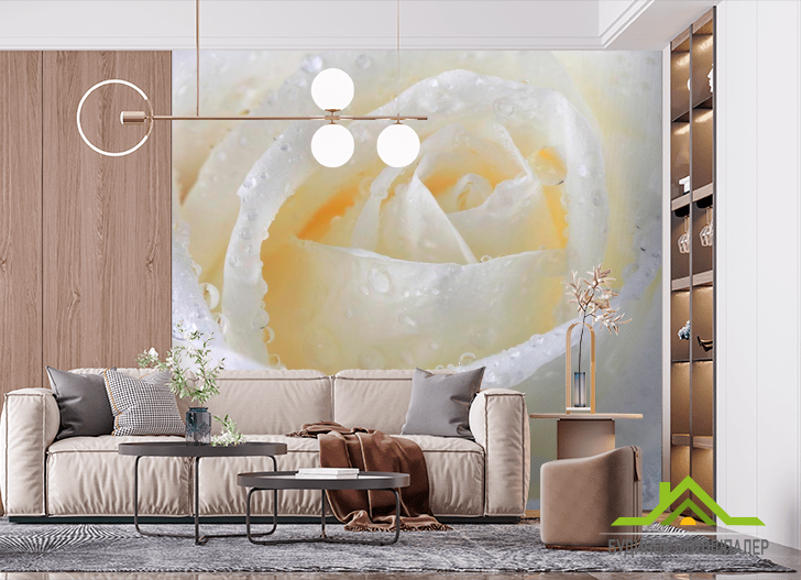 Фотообои Роза