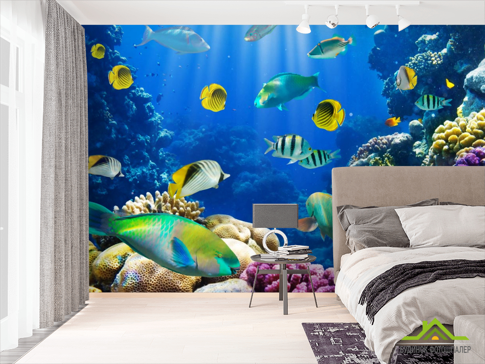 Фотошпалери рибки