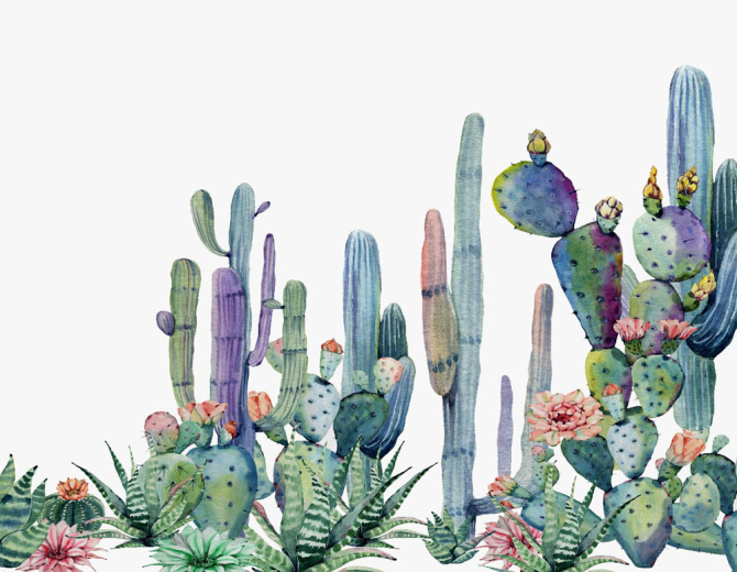 Фотообои тропические кактусы