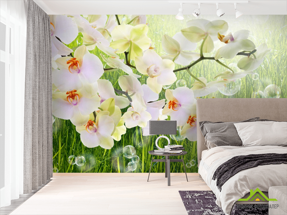 Фотошпалери біла орхідея на тлі трави