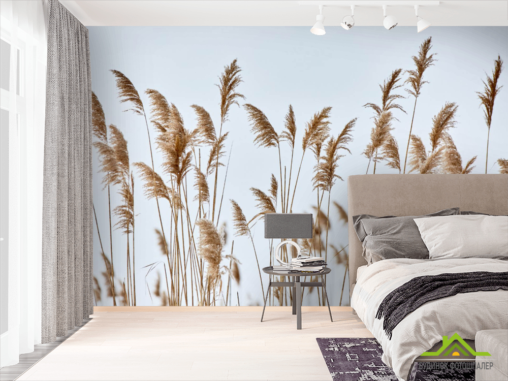 Фотошпалери сухоцвіти колоски