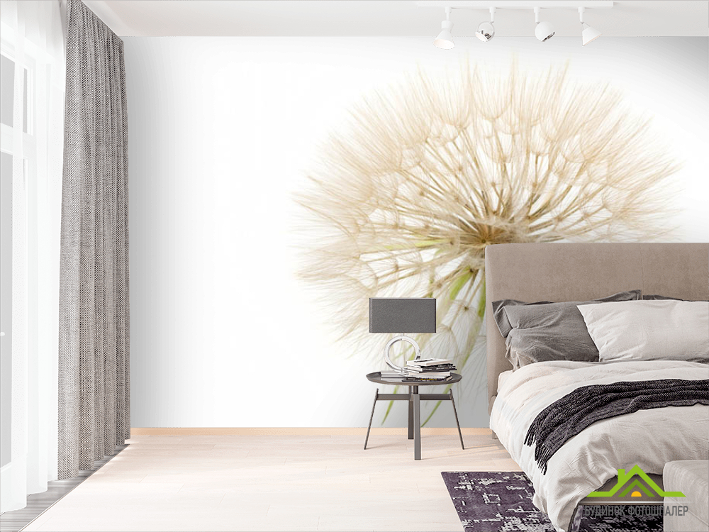 Фотообои одуванчик