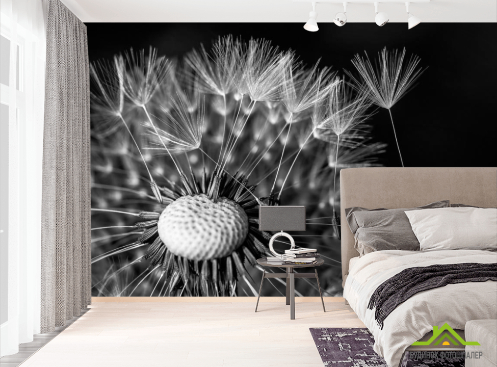 выбрать Фотообои Одуванчик Фотообои Одуванчики на стену