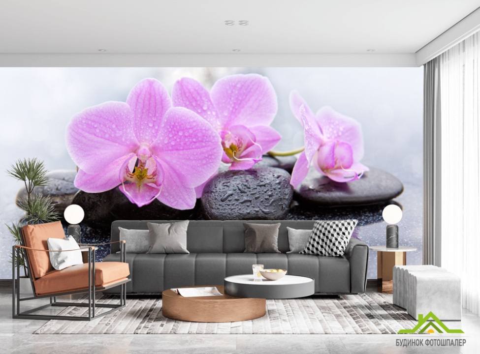 выбрать Фотообои орхидея на камне Фотообои Орхидеи на стену
