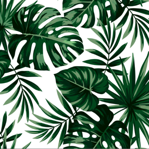  Тропические листья