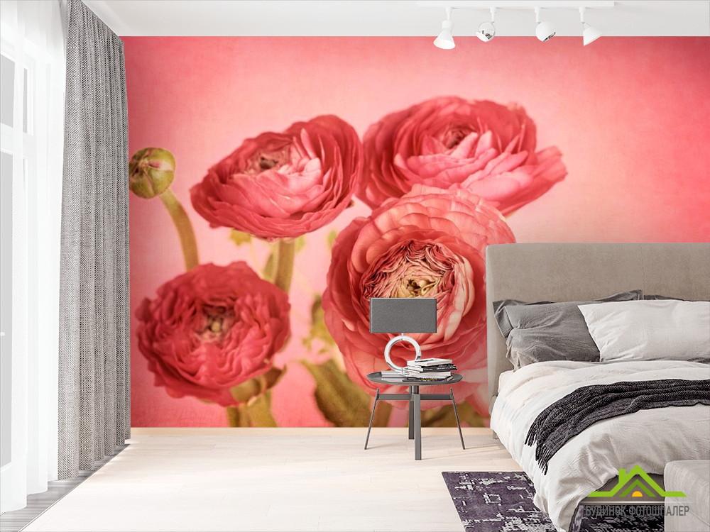 Фотошпалери Кораловий півонія