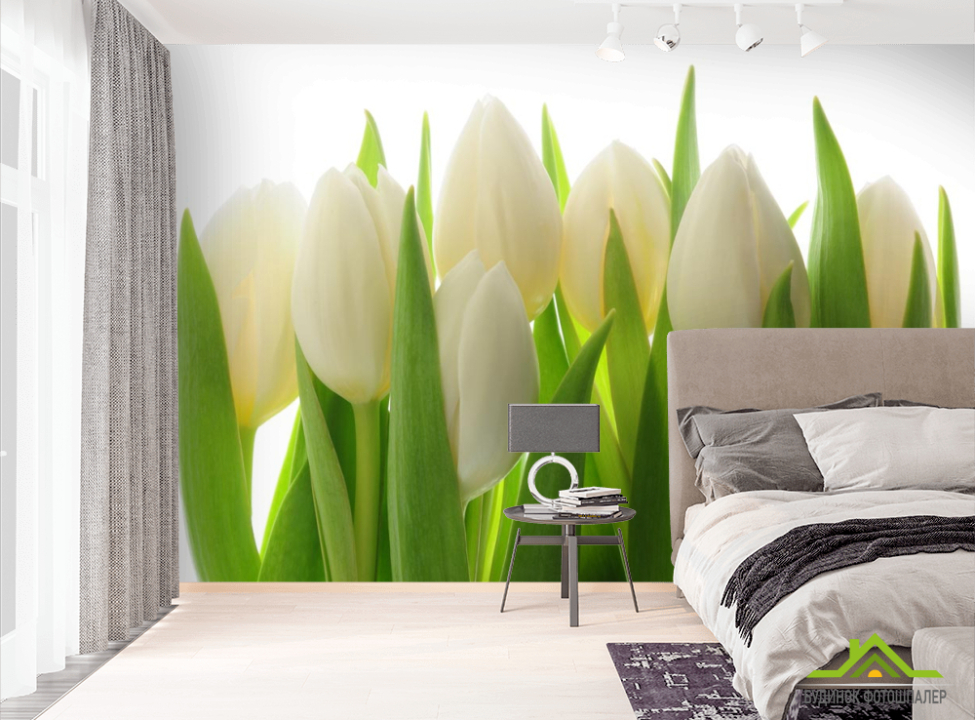 выбрать Фотошпалери білі тюльпани Фотошпалери Квіти на стіну