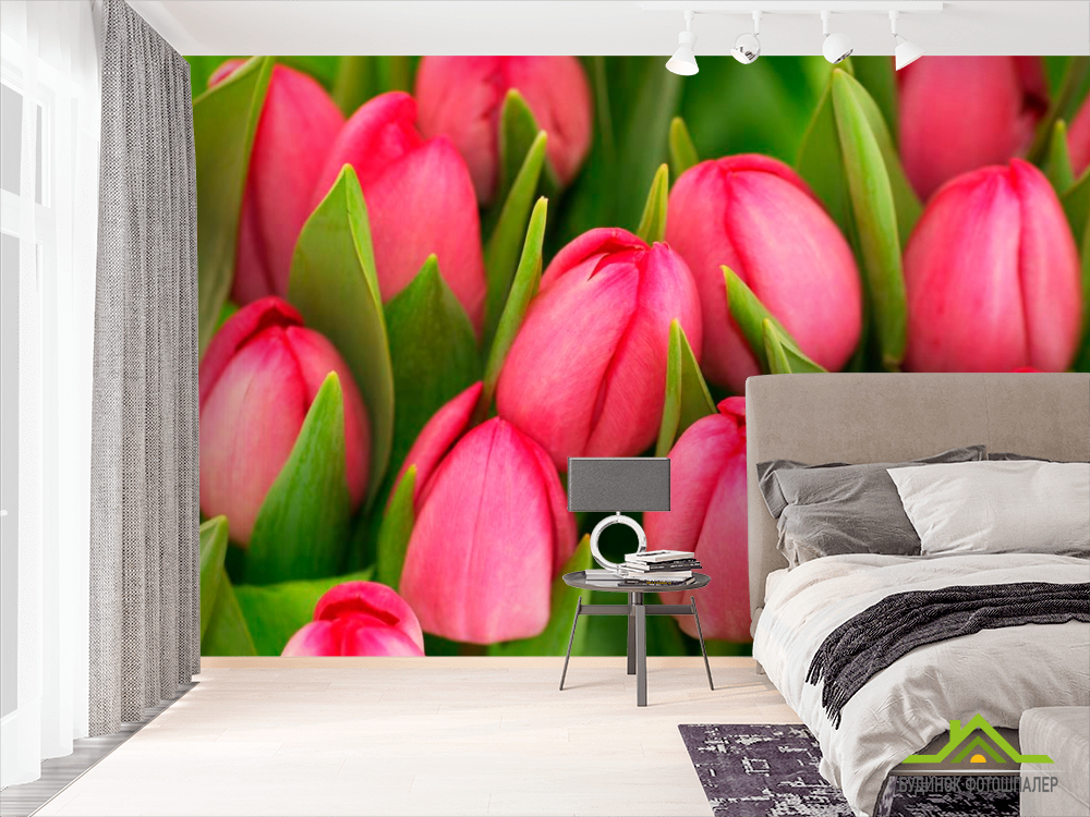 Фотошпалери Рожеві тюльпани
