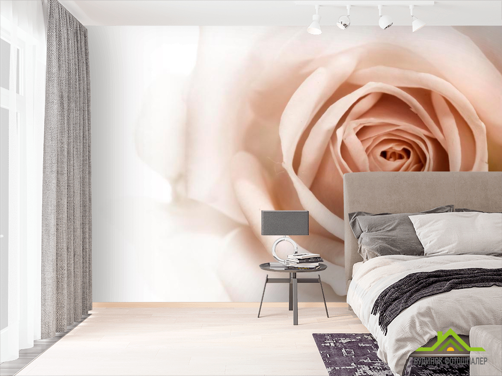 Фотошпалери Роза кремово-коричневий