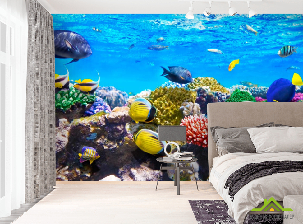 выбрать Фотошпалери Риби Фотошпалери Риби і море на стіну