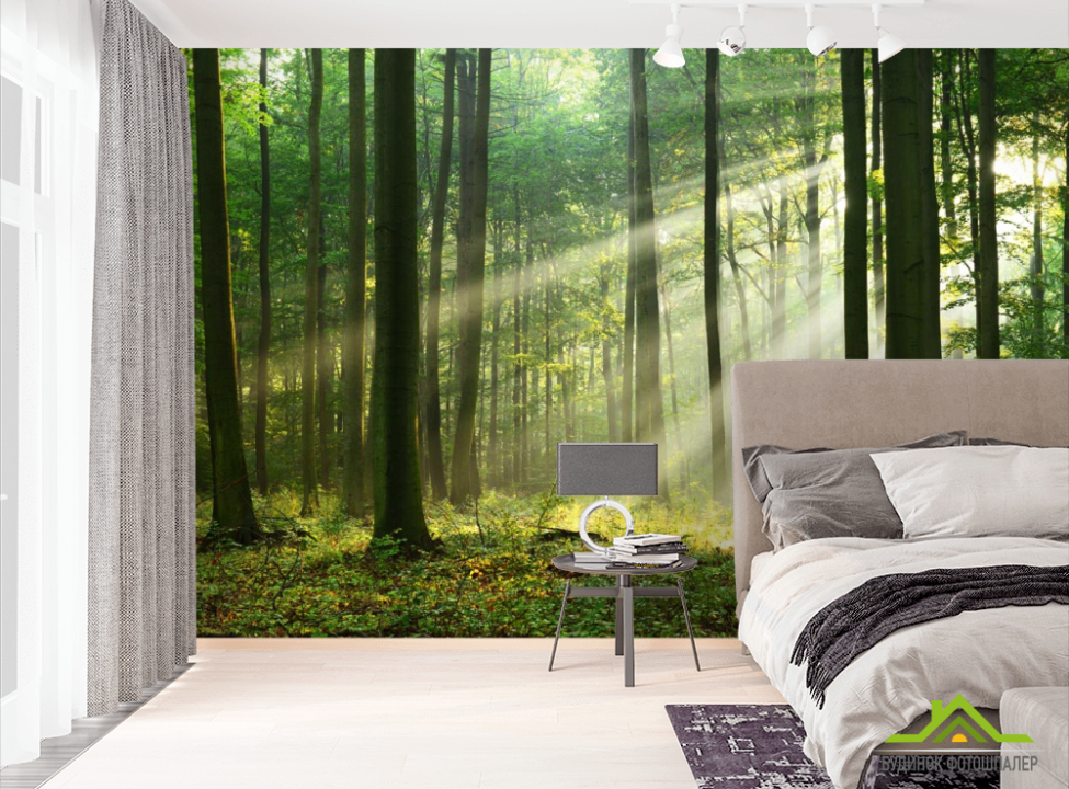 выбрать Фотообои солнечные лучи в лесу Фотообои Природа на стену