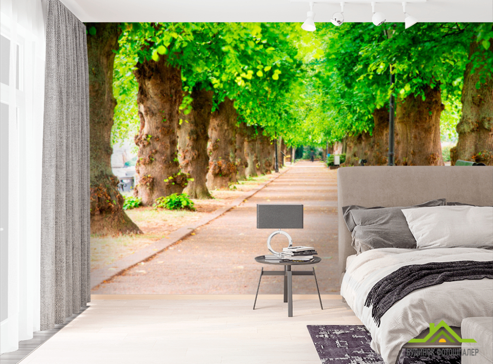 выбрать Фотообои Тоннель из деревьев Фотообои Расширяющие пространство на стену