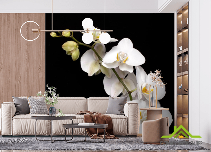 Фотошпалери гілочка білої орхідеї на чорному тлі