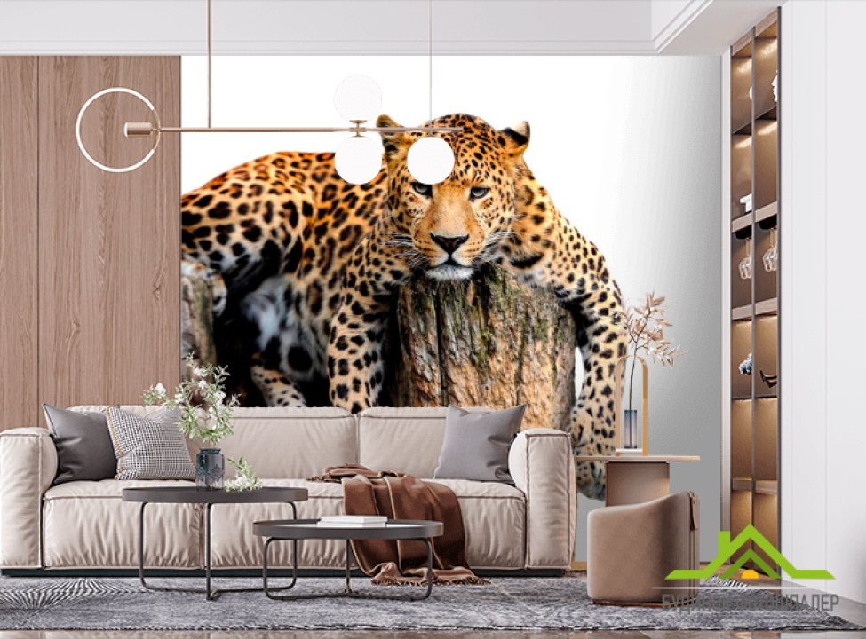 выбрать Фотообои Леопард Фотообои Гепарды на стену