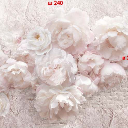  Фотошпалери Піони