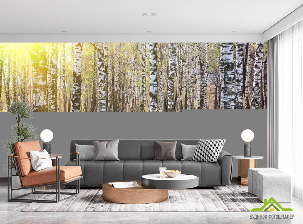 выбрать Фотообои Лес, березы, солнце Фотообои лес на стену