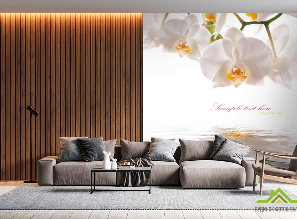 выбрать Фотообои Орхидеи белоснежные Фотообои Орхидеи на стену