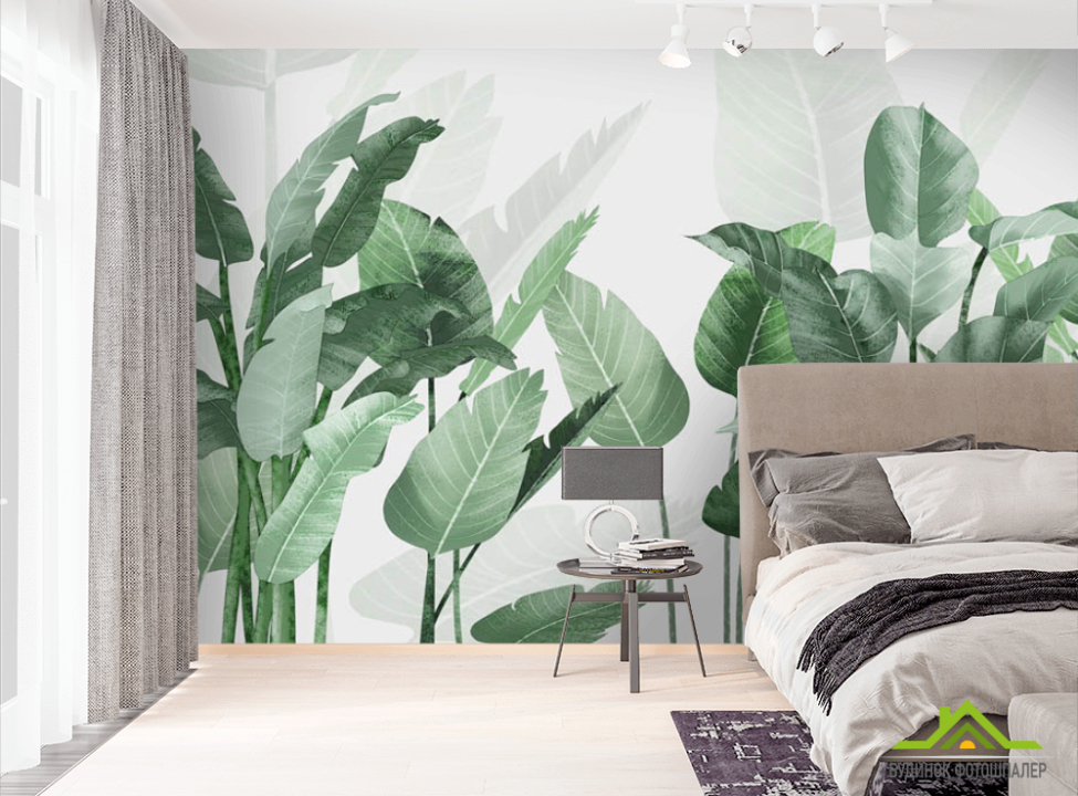 выбрать Фотошпалери Листя банана Фотошпалери тропічні листя на стіну
