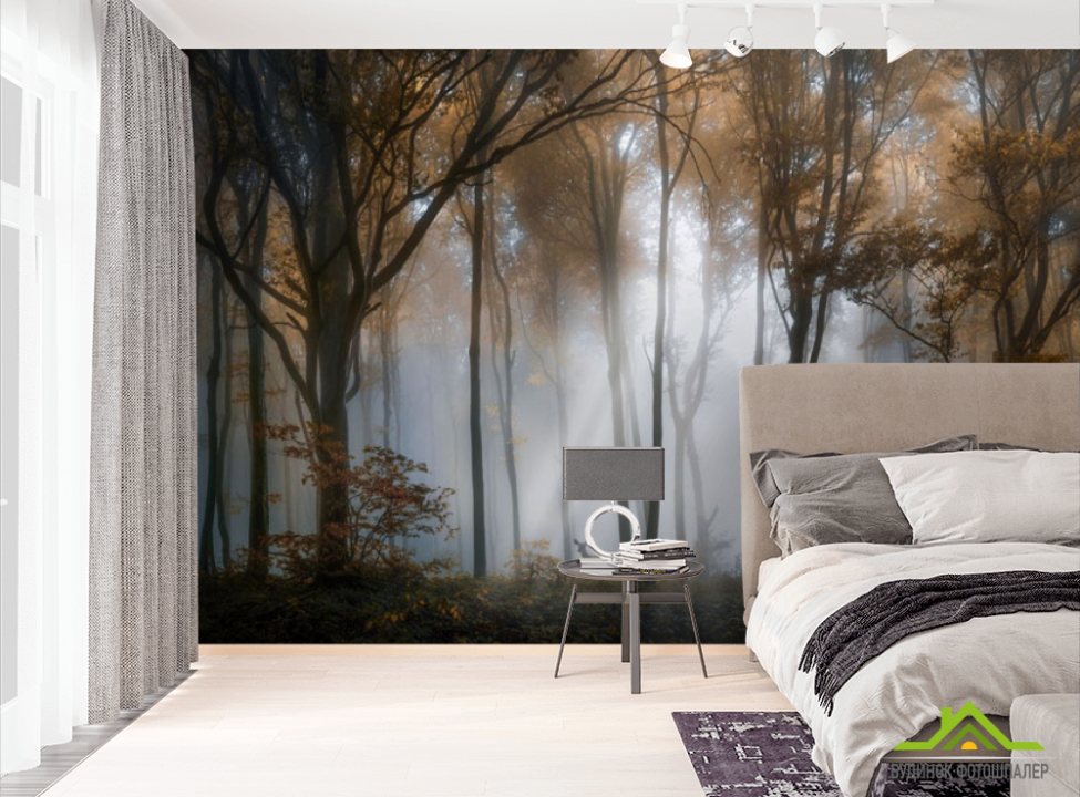 выбрать Фотообои Туманные деревья в лесу Фотообои Природа на стену