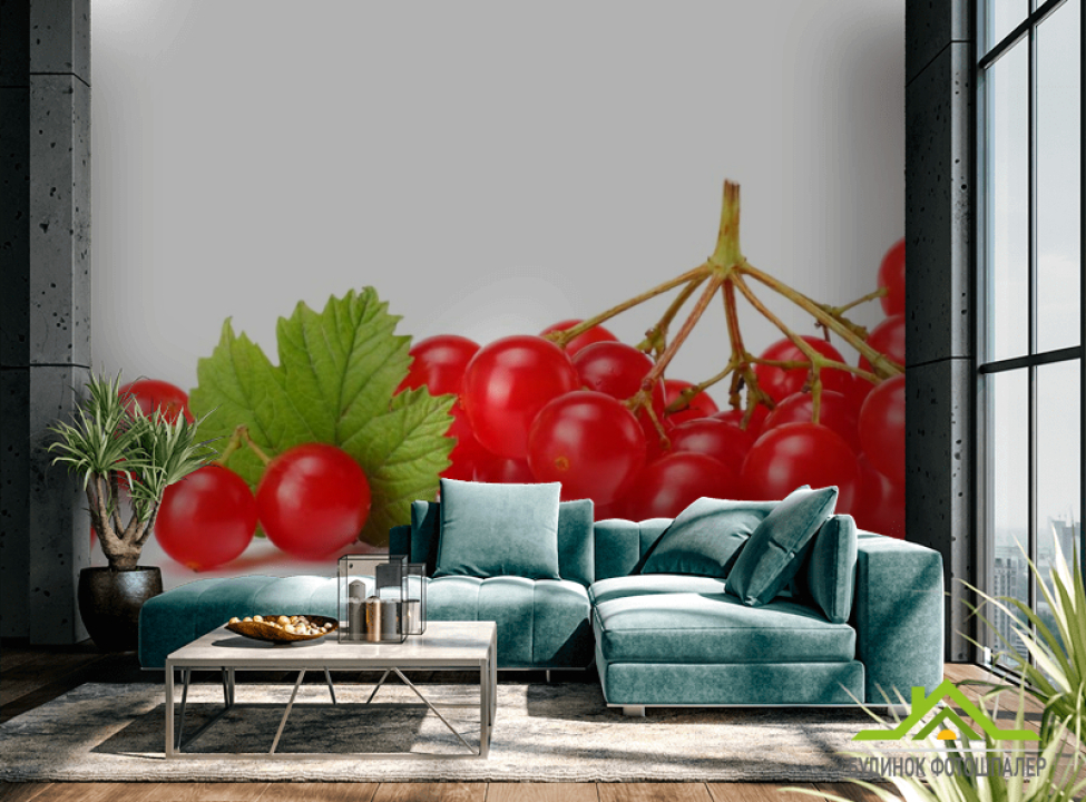 выбрать Фотообои калина Фотообои Еда и напитки на стену